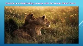 Embark on a Captivating Journey with Our Kenya Safari Tours