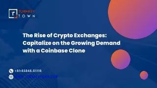 the rise of crypto exchanges capitalize