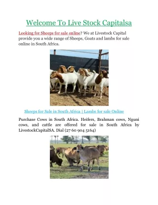 welcome to live stock capitalsa