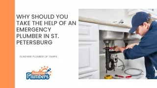 Why should you take the help of an emergency plumber in St. Petersburg