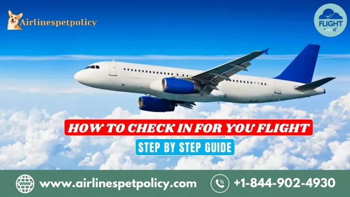 www airlinespetpolicy com