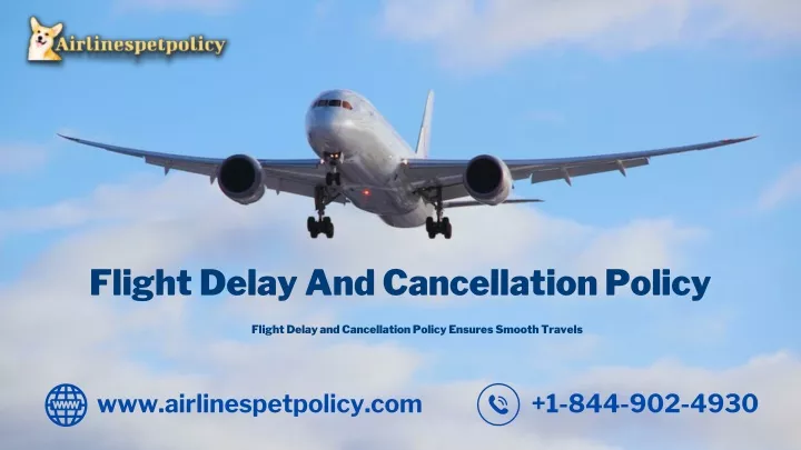 flight delay and cancellation policy