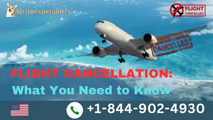 flight cancellation what you need to know