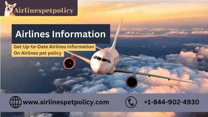 www airlinespetpolicy com