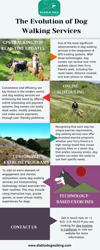 The Evolution of Dog Walking Services