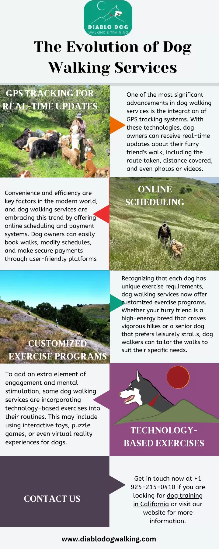 the evolution of dog walking services