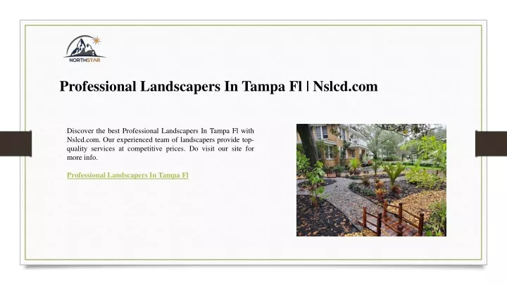 professional landscapers in tampa fl nslcd com