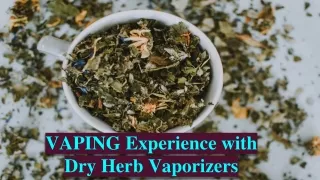 VAPING Experience with Dry Herb Vaporizers