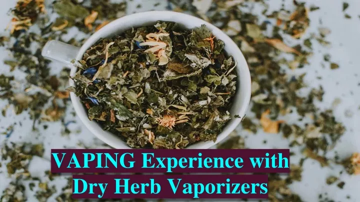 vaping experience with dry herb vaporizers