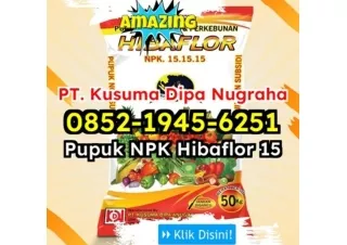 BERKUALITAS! WA 0852-1945-6251 Toko Jual Pupuk NPK Hibaflor Untuk Fase Generatif Vegetatif Jakarta Barat
