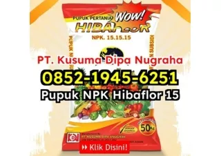 CUCI GUDANG! WA 0852-1945-6251 Vendor Jual Pupuk NPK Hibaflor Untuk Kebun Jakarta Pusat