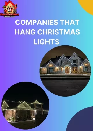 Make Your Holiday Season Sparkle with Professional Companies That Hang Christmas Lights