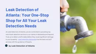 Leak-Detection-of-Atlanta-Your-One-Stop-Shop-for-All-Your-Leak-Detection-Needs  |