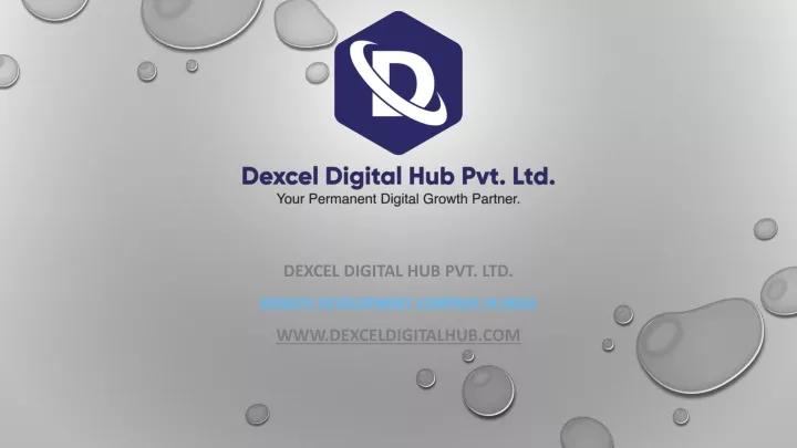 dexcel digital hub pvt ltd website development company in india www dexceldigitalhub com