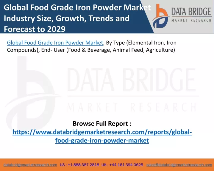 global food grade iron powder market industry