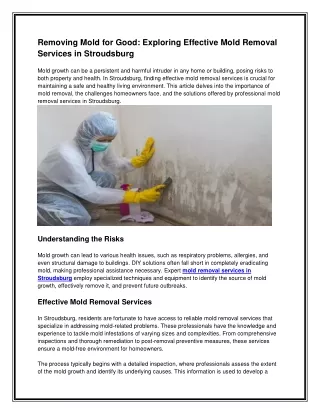 Removing Mold for Good Exploring Effective Mold Removal Services in Stroudsburg