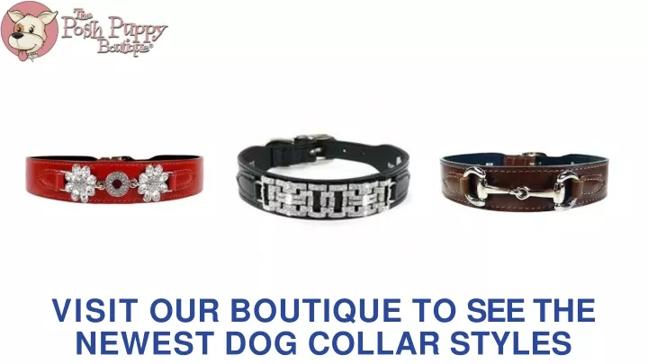 visit our boutique to see the newest dog collar styles