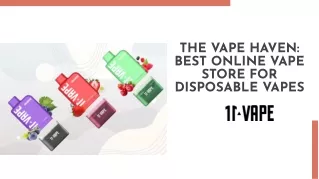 The Vape Haven Best Online Vape Store For Disposable Vapes