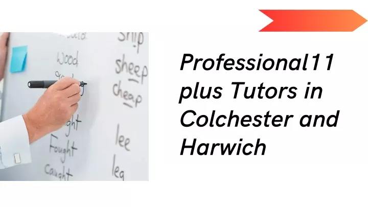professional11 plus tutors in colchester