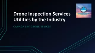 Drone Inspection Services Utilities by the Industry