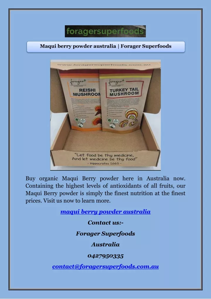 maqui berry powder australia forager superfoods