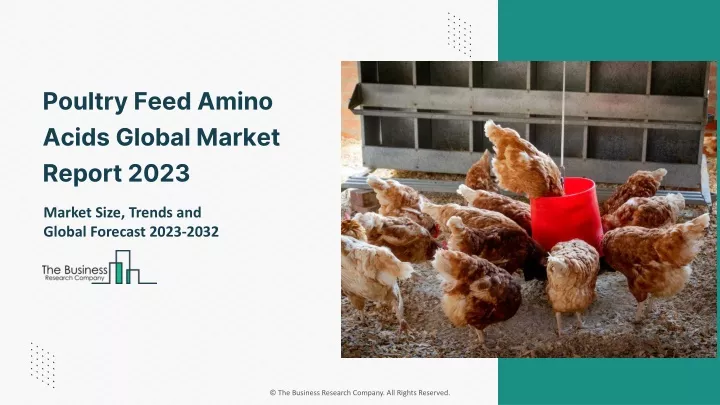 poultry feed amino acids global market report 2023