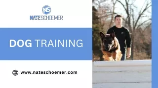 Nate Schoemer Elite Dog Training Services