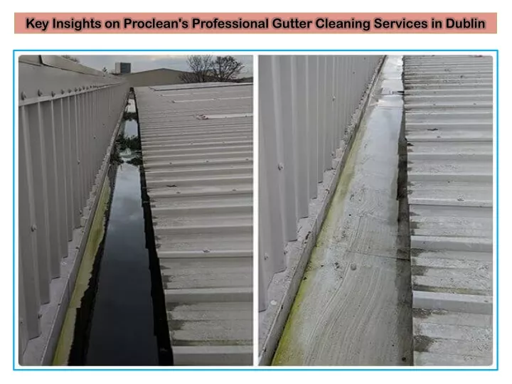 key insights on proclean s professional gutter