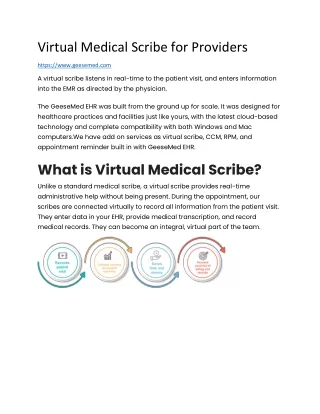 Virtual Medical Scribe for Providers