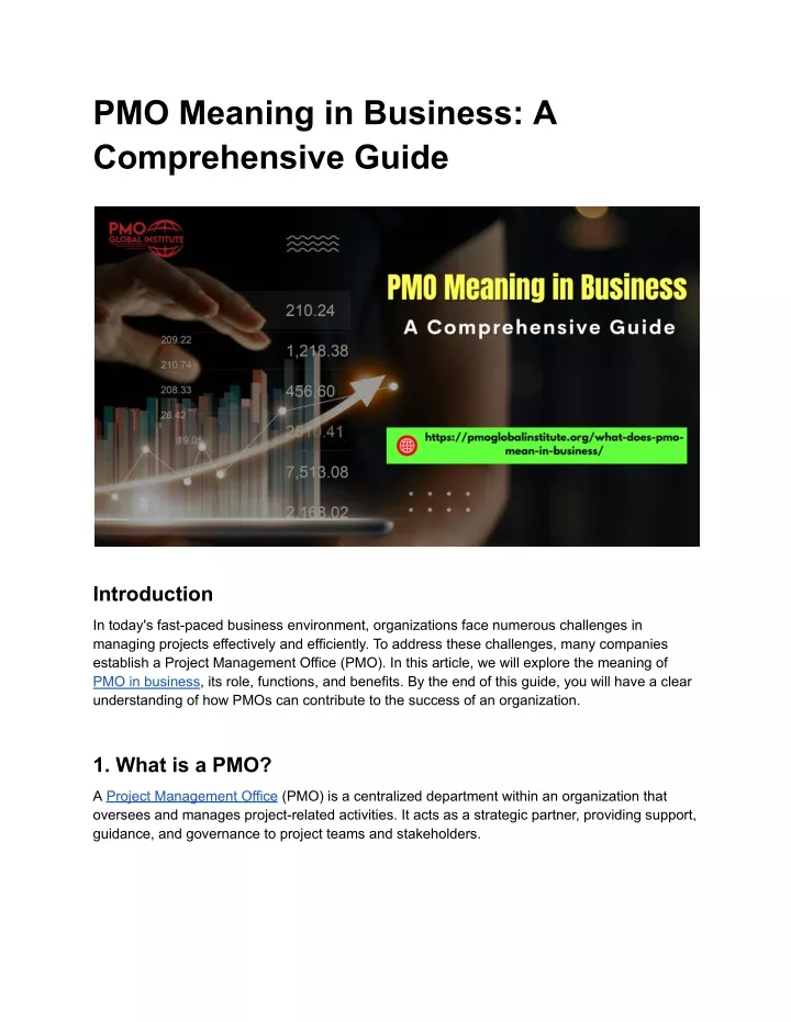 pmo meaning in business a comprehensive guide