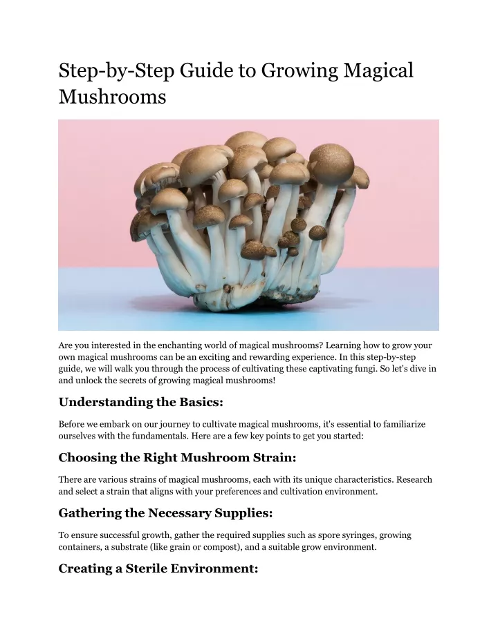 step by step guide to growing magical mushrooms