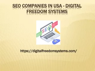 SEO Companies in USA - Digital Freedom Systems