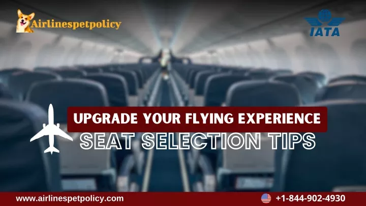 upgrade your flying experience