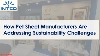 How Pet Sheet Manufacturers Are Addressing Sustainability Challenges