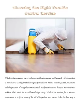 with termites wreaking havoc on homes