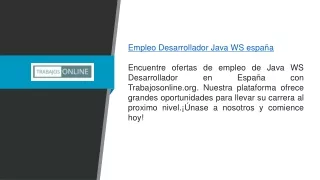 Ofertas de trabajo de Java Ws Developer España