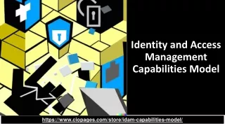 IDAM Capabilities Model: Identity and Access Management Capabilities