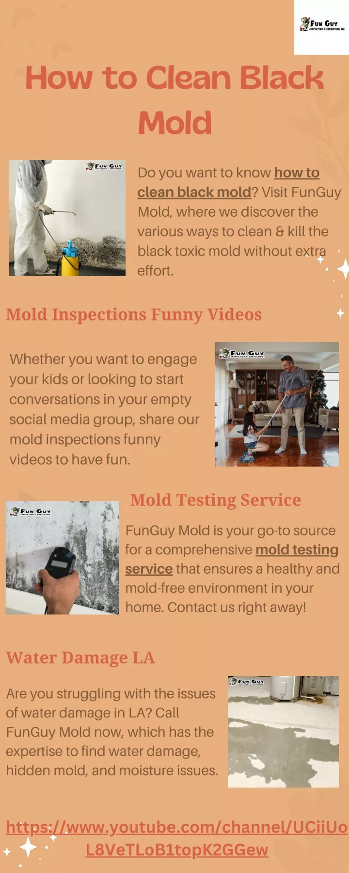 how to clean black mold