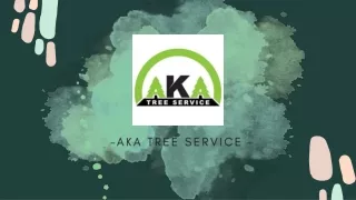 Looking For A Superior Quality Athens Tree Removal Consult AKA Tree Service!
