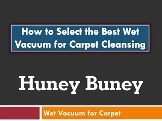 How to Select the Best Wet Vacuum for Carpet Cleansing