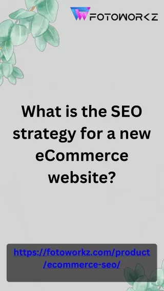 what is the seo strategy for a new ecommerce