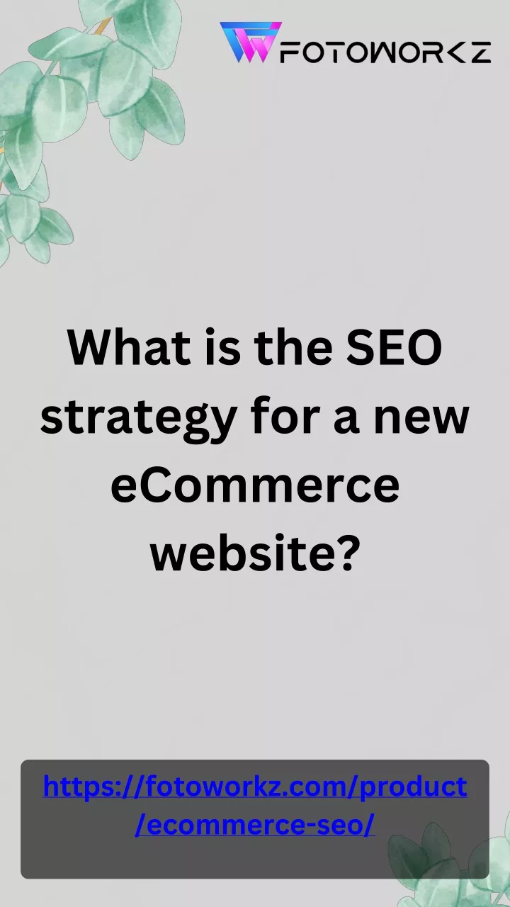 what is the seo strategy for a new ecommerce