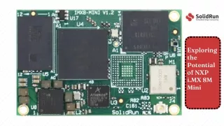 Exploring the Potential of NXP i.MX 8M Mini