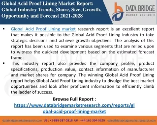 global acid proof lining market report global