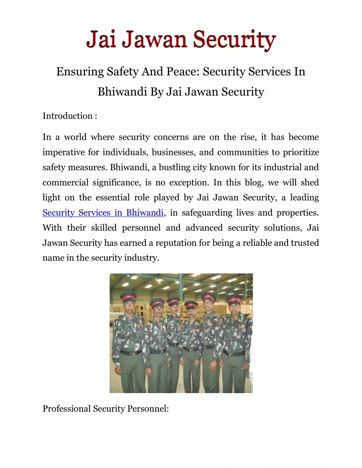 ensuring safety and peace security services in