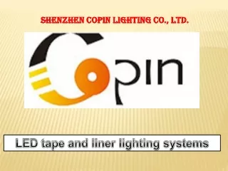 Premium LED Fixture Lights in China | Copinled.com