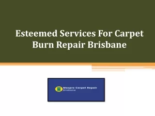 Book Renowned Services For Carpet Burn Repair Brisbane