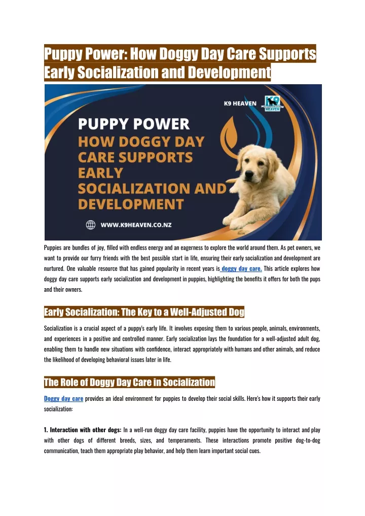 puppypower howdoggydaycaresupports