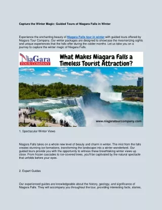 Capture the Winter Magic: Guided Tours of Niagara Falls in Winter