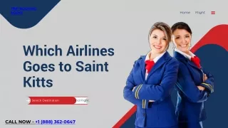 trip booking agent